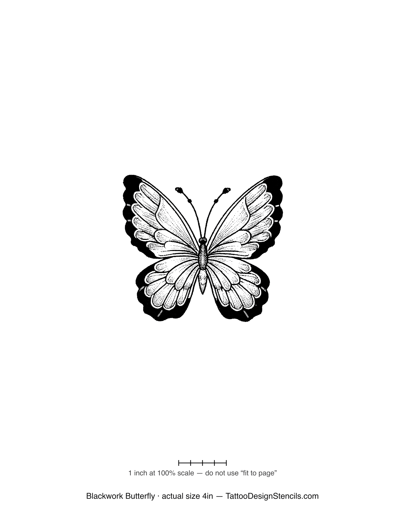 Blackwork butterfly tattoo stencil — solid-fill wings with detailed veining