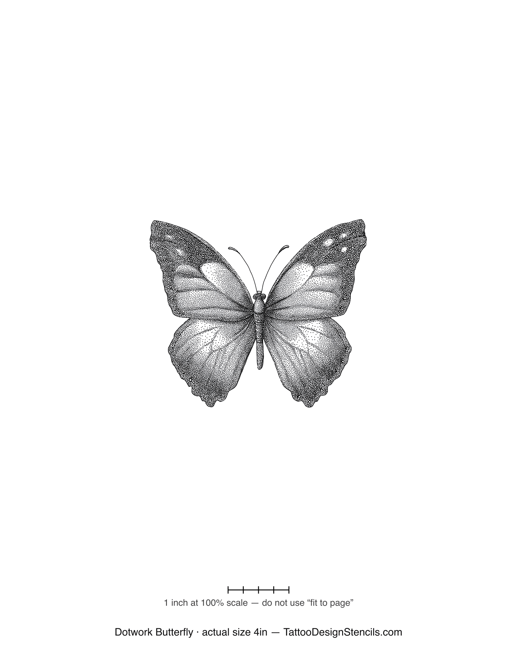 Dotwork butterfly tattoo stencil — wings built from fine stipple shading