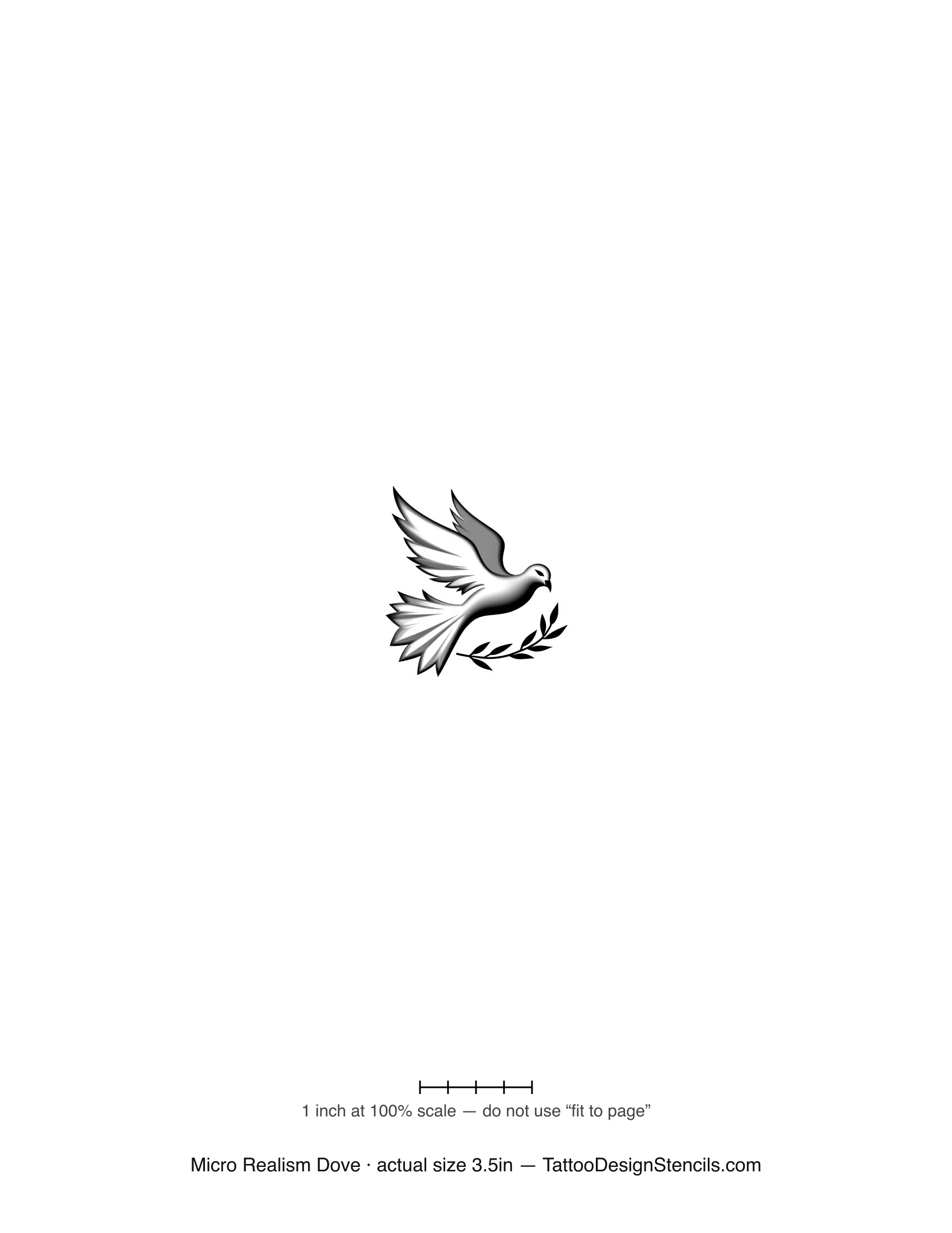 Micro realism dove tattoo stencil — realistic dove with fine feathers