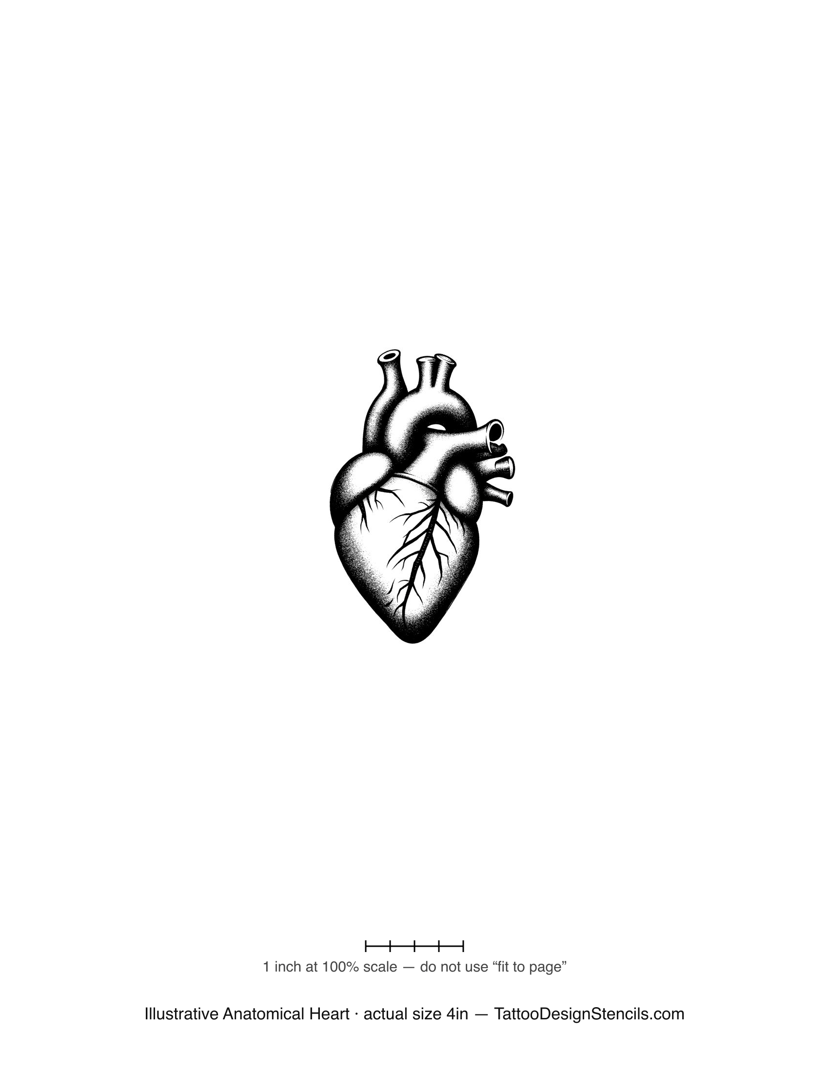 Illustrative anatomical heart tattoo stencil — detailed engraved linework