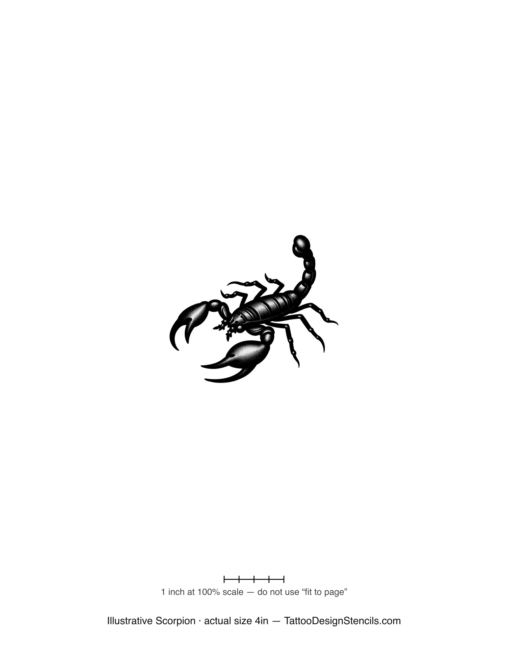 Illustrative scorpion tattoo stencil — detailed segmented scorpion
