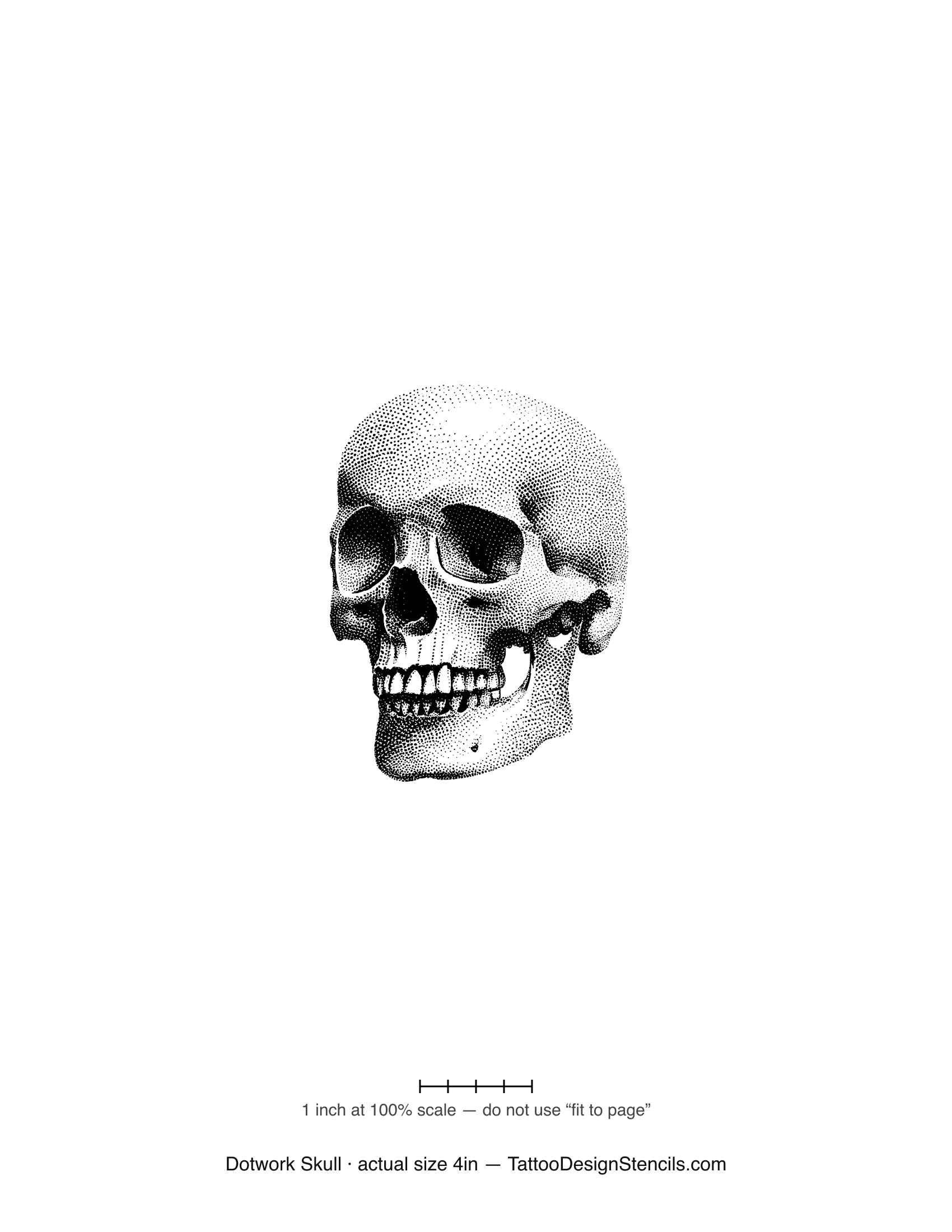 Dotwork skull tattoo stencil — realistic skull in fine stipple shading