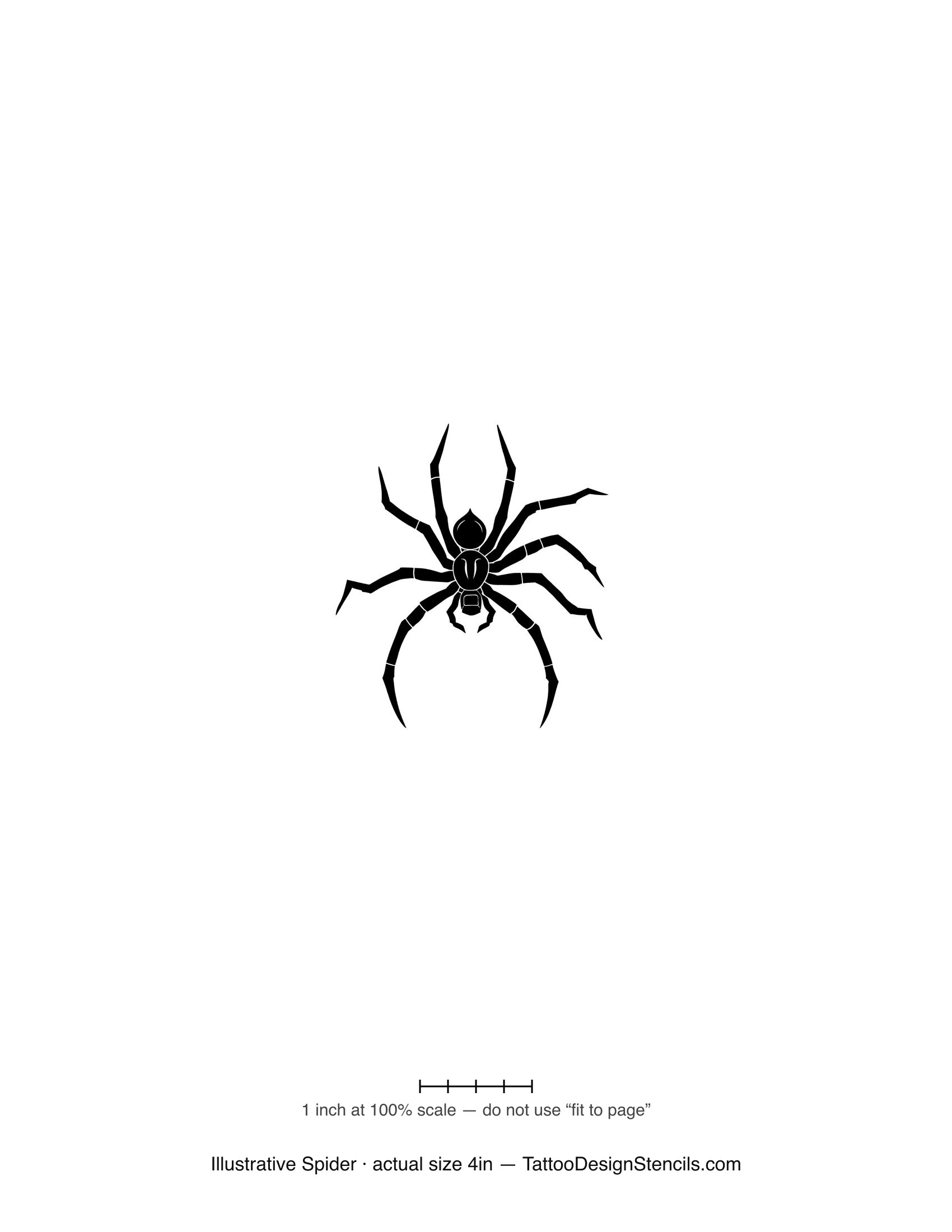 Illustrative spider tattoo stencil — detailed spider with fine linework