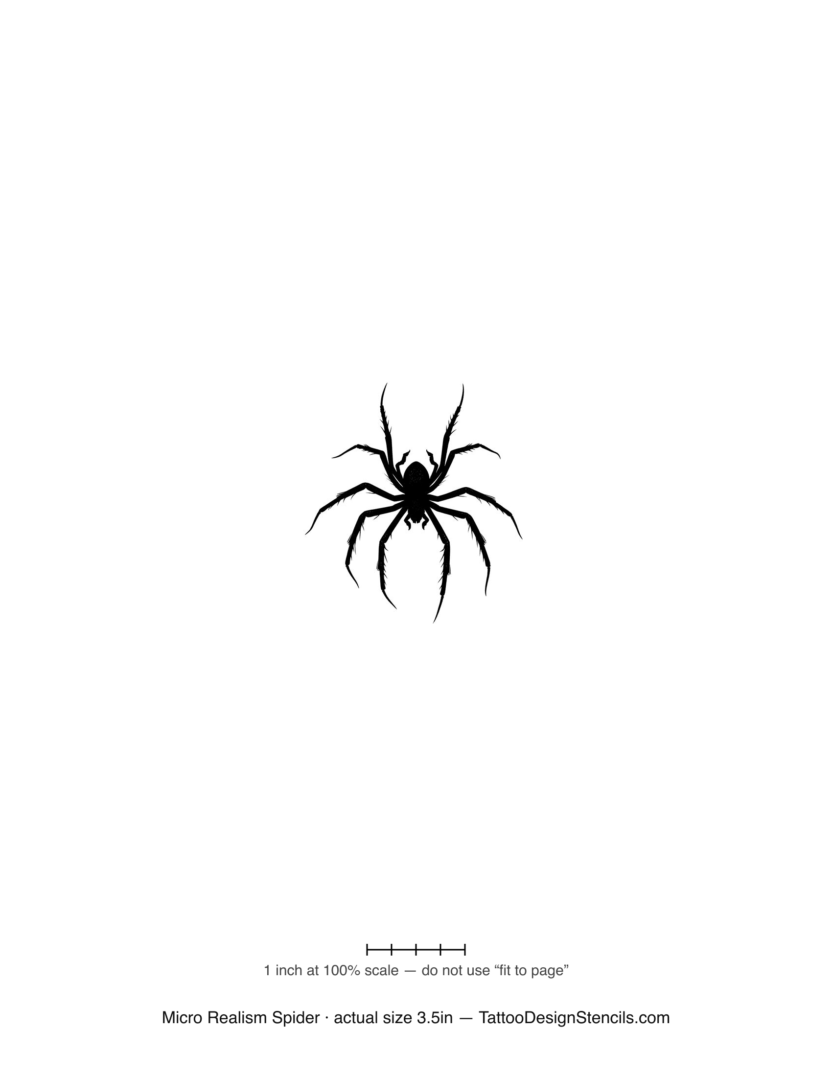 Micro realism spider tattoo stencil — realistic detailed spider